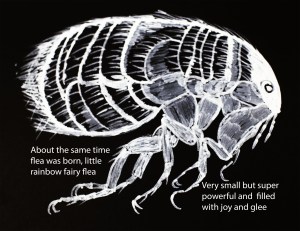Rainbow fairy flea was born
