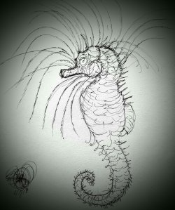 Seahorse Medicine illustration Seahorse drawing