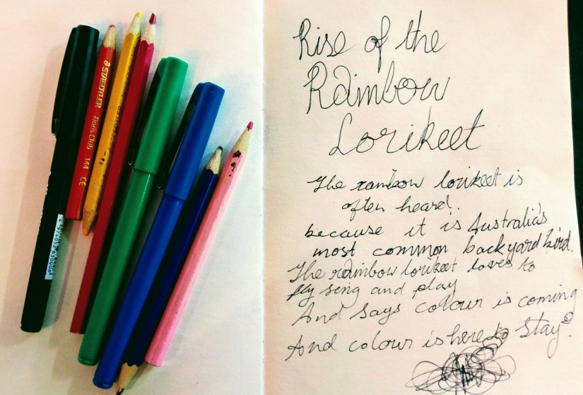 Rainbow lorikeet drawing