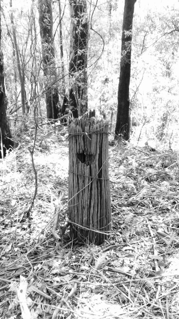 Weathered grey fence post